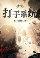 All Heavens Fighter System